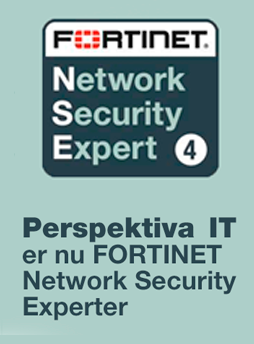 Fortinet Perspektiva IT